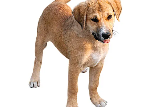 After editing example