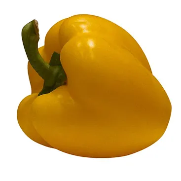 After editing example 2